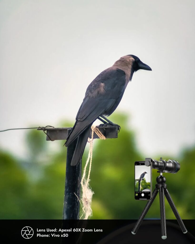 Apexel 60x zoom lens