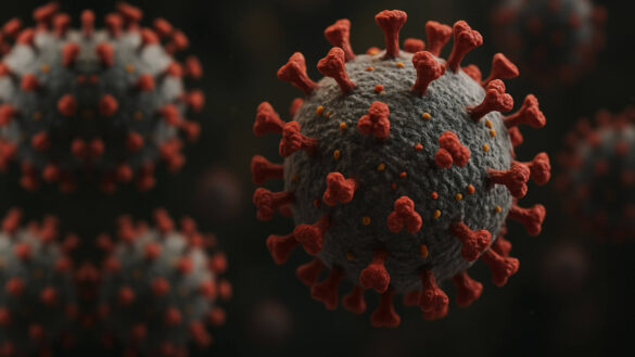 कोरोना के नए केस 2025 corona new case 2025